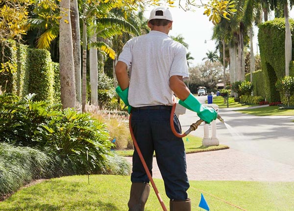 About Leslie WV Pest Control